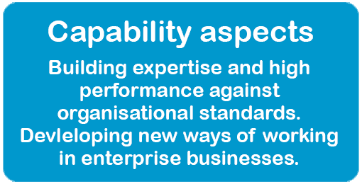 Capability Aspects. Building expertise and high performance against organisational standards. Developing new ways of working in enterprise businesses.
